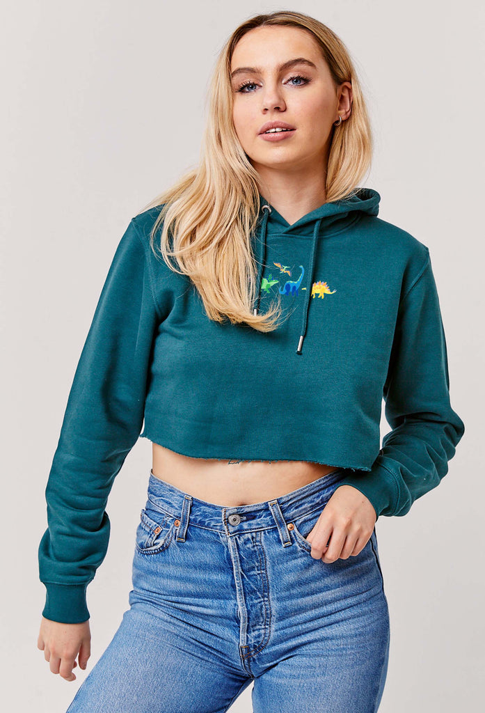 dinosaur cropped hoodie Big Wild Thought