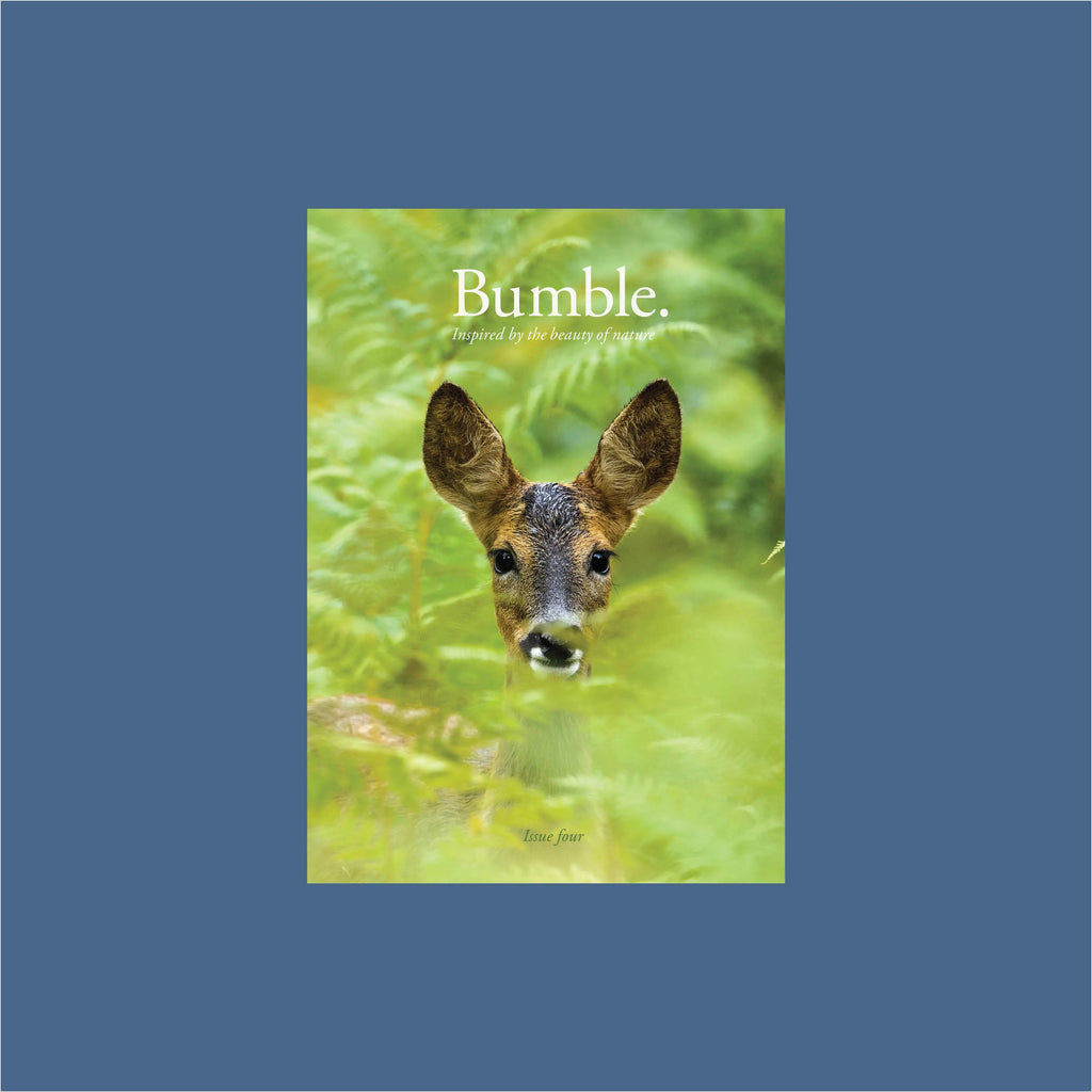 bumble magazine - issue four Big Wild Thought