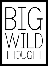 Big Wild Thought