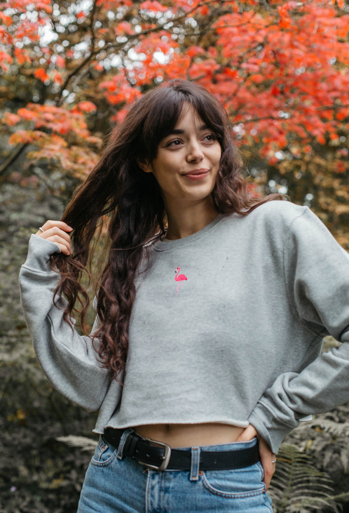 flamingo womens cropped sweatshirt Big Wild Thought